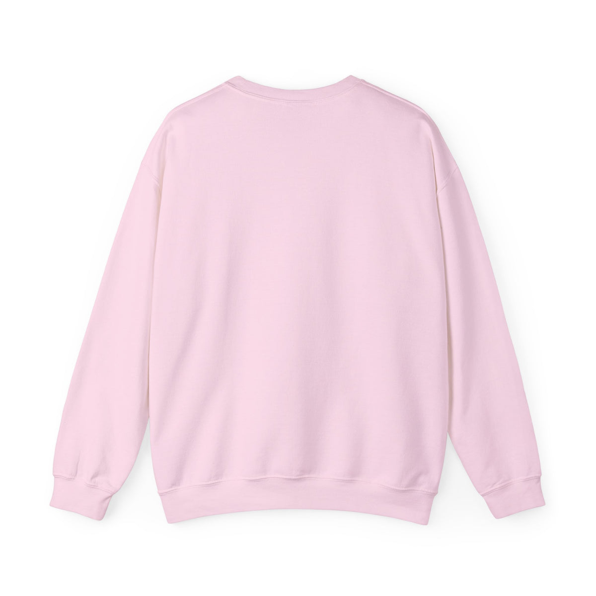 Release the Epstein Files Sweatshirt — Punched Not Silenced